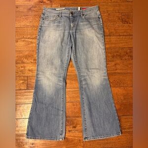 Express X2 Jeans, Curvy, Flare, size 12